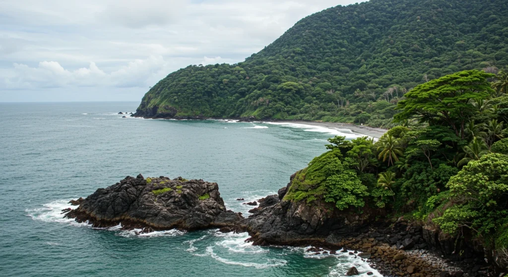 Manuel Antonio Costa Rica beach and rainforest view