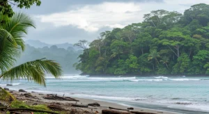 Weather in Costa Rica in May